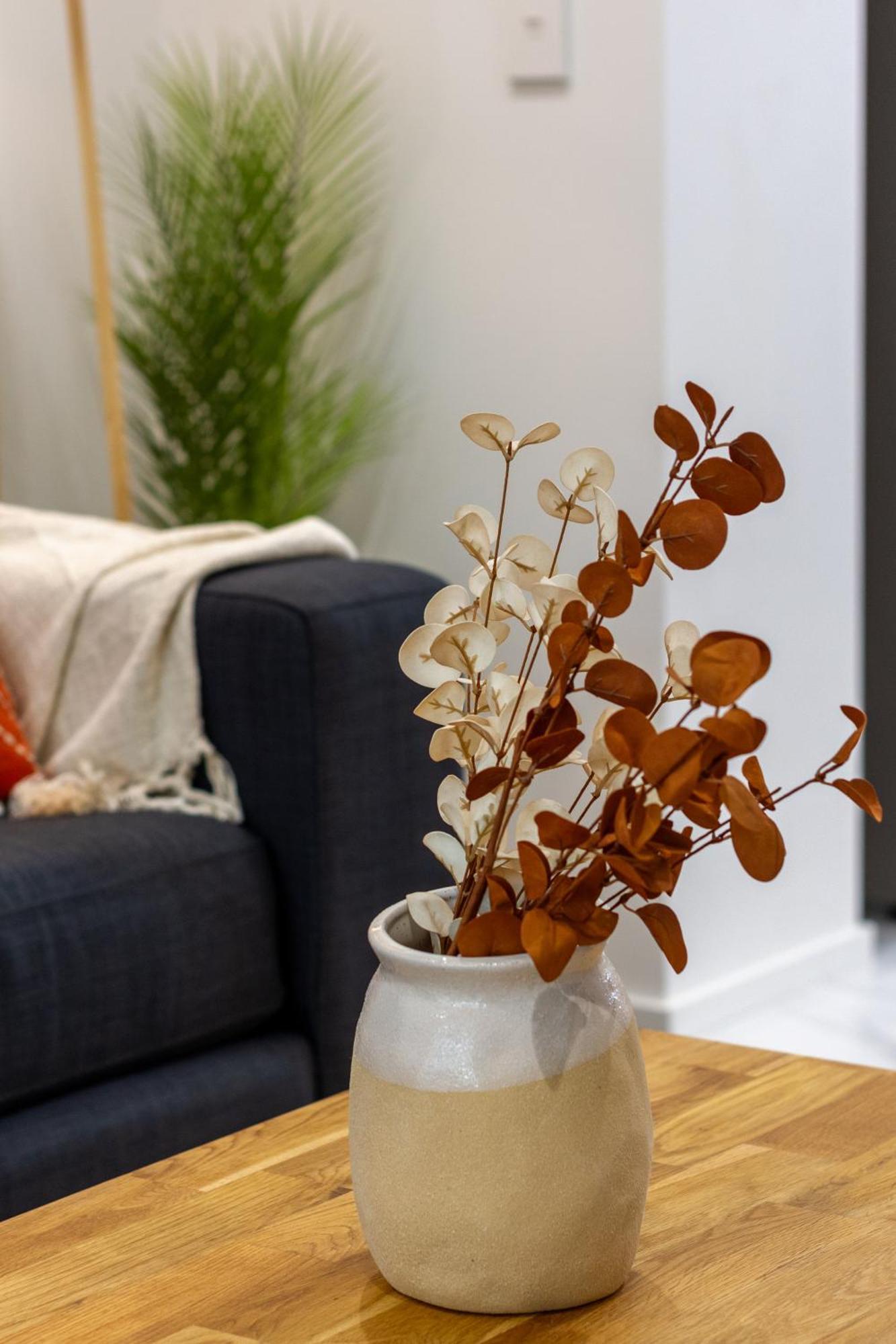 Modern City Lifestyle: 2 Bedroom 1 Bath Christchurch Exterior foto